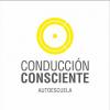 Foto de Autoescuela de Conduccin para principiantes ICC